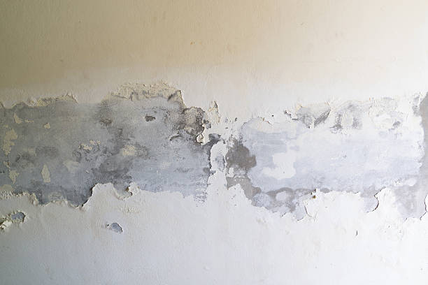 ペイントピーリングオフホワイトのコンクリートの壁 - peeling paint wall white ストックフォトと画像