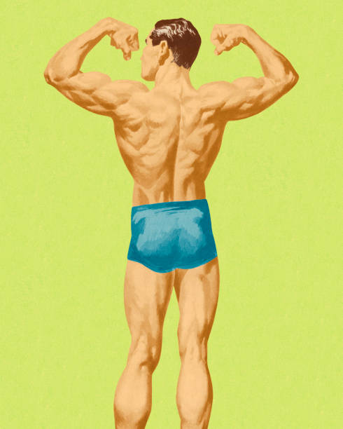 ilustraciones, imágenes clip art, dibujos animados e iconos de stock de muscular man's back - colored background adult photography color image