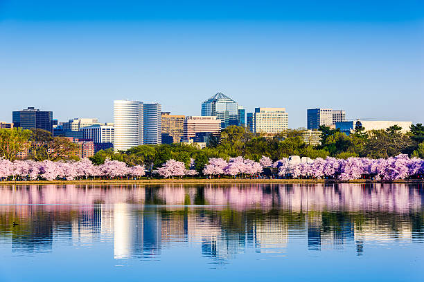 Washington, D.C. Cityscape Washington, D.C. at the Tidal Basin during cherry blossom season with the Rosslyn business distict citycape. downtown district stock pictures, royalty-free photos & images