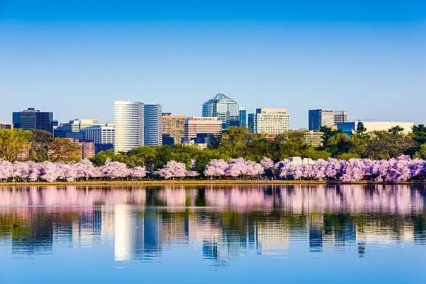 Washington, D.C. at the Tidal Basin during cherry blossom season with the Rosslyn business distict citycape.