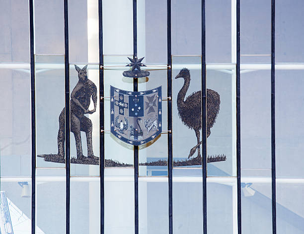 щит герба - kangaroo flag australia australian culture стоковые фото и изображения