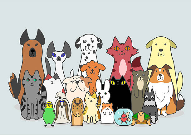 개, 고양이 및 작은 동물은 그룹 - dalmatian rabbit stock illustrations