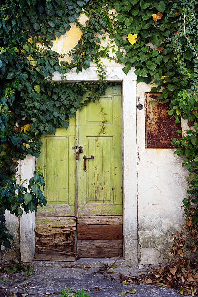 istock Old Wooden Door 473219034