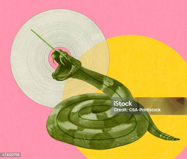 Coiled Snake Stock Illustration - Download Image Now - Rattlesnake, Spiral, Fang