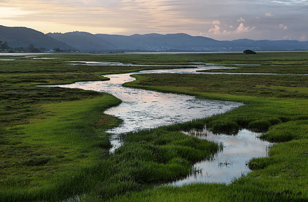 istock Knysna wetlands at sunset 473223480