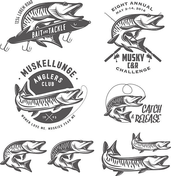 ilustrações de stock, clip art, desenhos animados e ícones de conjunto de elementos de design de pesca muskellunge almiscarado - animal catch of fish catching sport