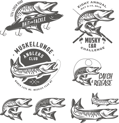 Set of muskellunge musky fishing design elements.