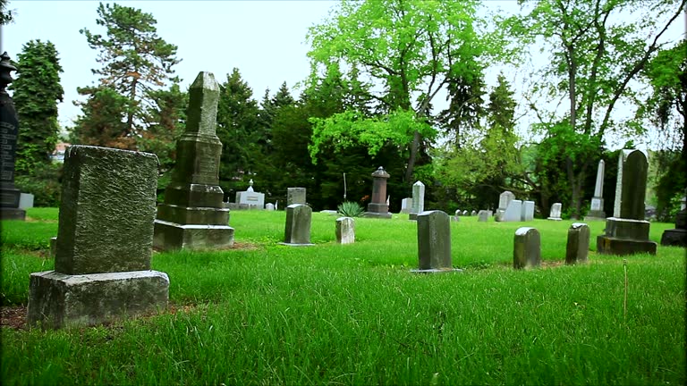 Cementery gravestones landscape background