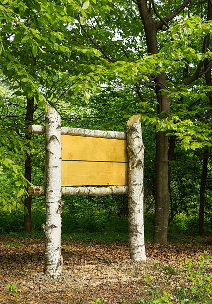 istock Wooden sign board in the woods 473229670