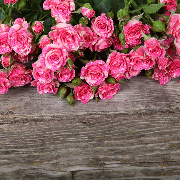 istock Bouquet of pink roses 473233582
