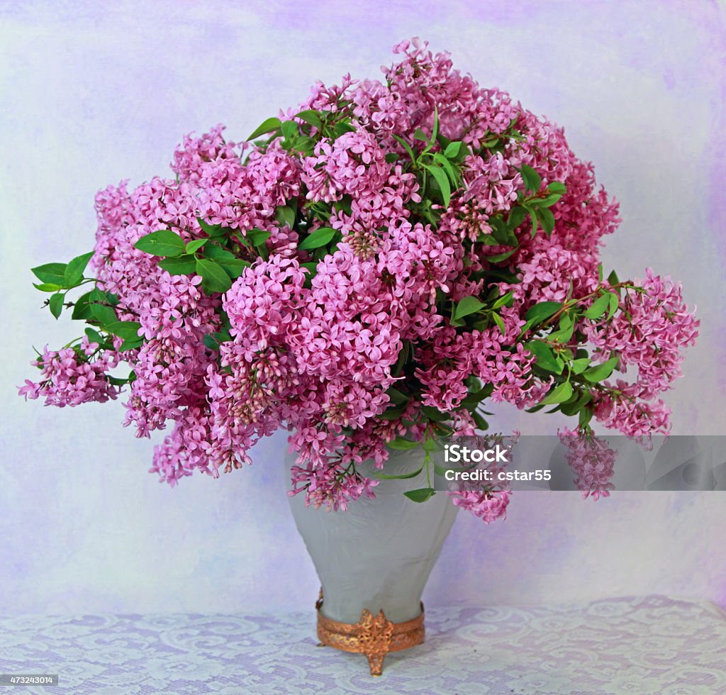 Spring Flowers: bouquet of lilacs Syringa vulgaris in a vase A bouquet of beautiful lilacs, Syringa vulgaris, in an antique vase. The vase is sitting on a lace covered table in front of a painted and textured background done in shades of purple. Lilac Stock Photo