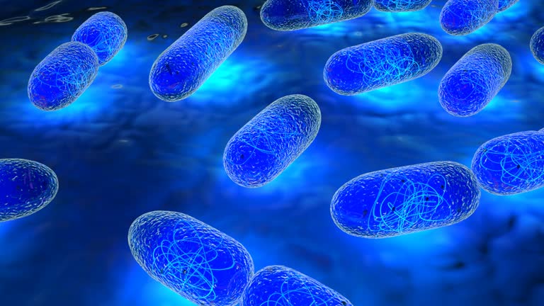 824 Dna Replication Stock Videos and Royalty-Free Footage - iStock | Rna, Protein synthesis, Helicase 824 Dna Replication Stock Videos and Royalty-Free Footage - iStock | Rna, Protein synthesis, Helicase
