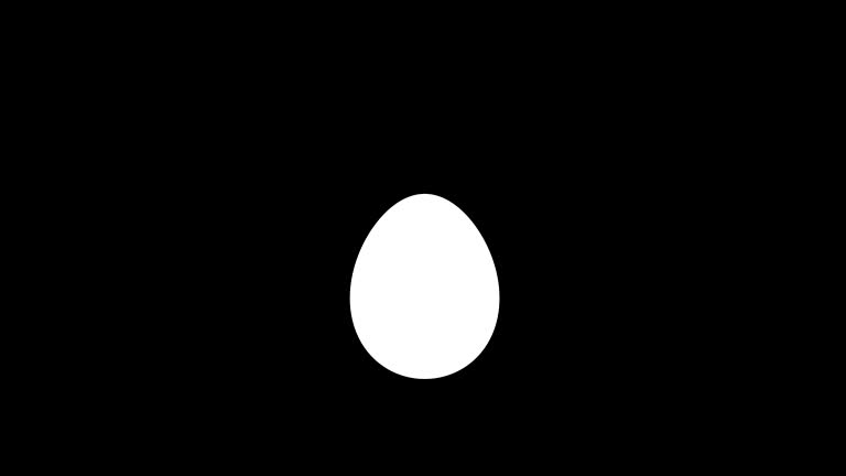 40,031 Egg Videos Stock Videos and Royalty-Free Footage - iStock 40,031 Egg Videos Stock Videos and Royalty-Free Footage - iStock