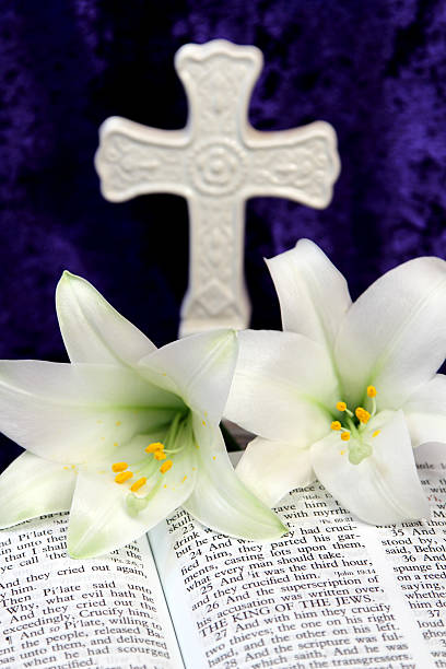 пасхальные лилии и библия scripture с белым крестом - lily white easter single flower стоковые фото и изображения