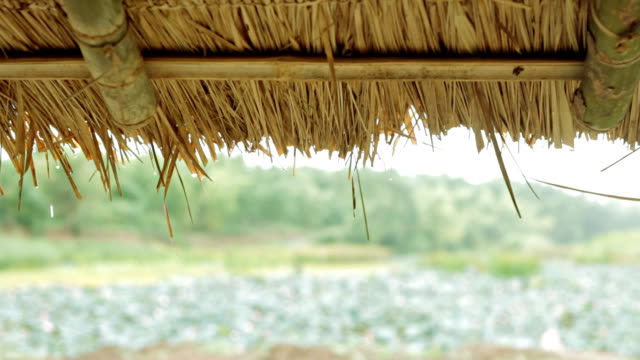 water drop falling from the straw roof