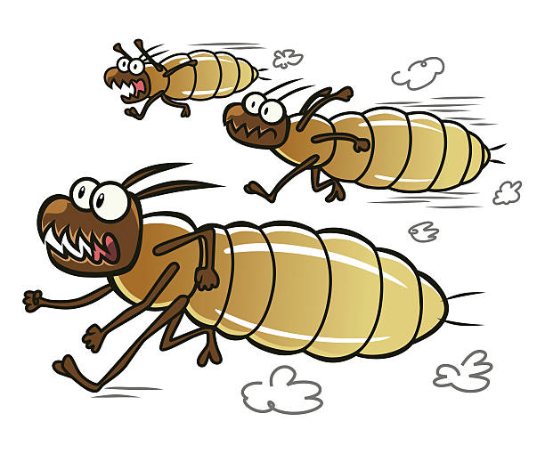 Termite Animation 300+ Thermite Stock Photos, Pictures & Royalty-Free Images - iStock