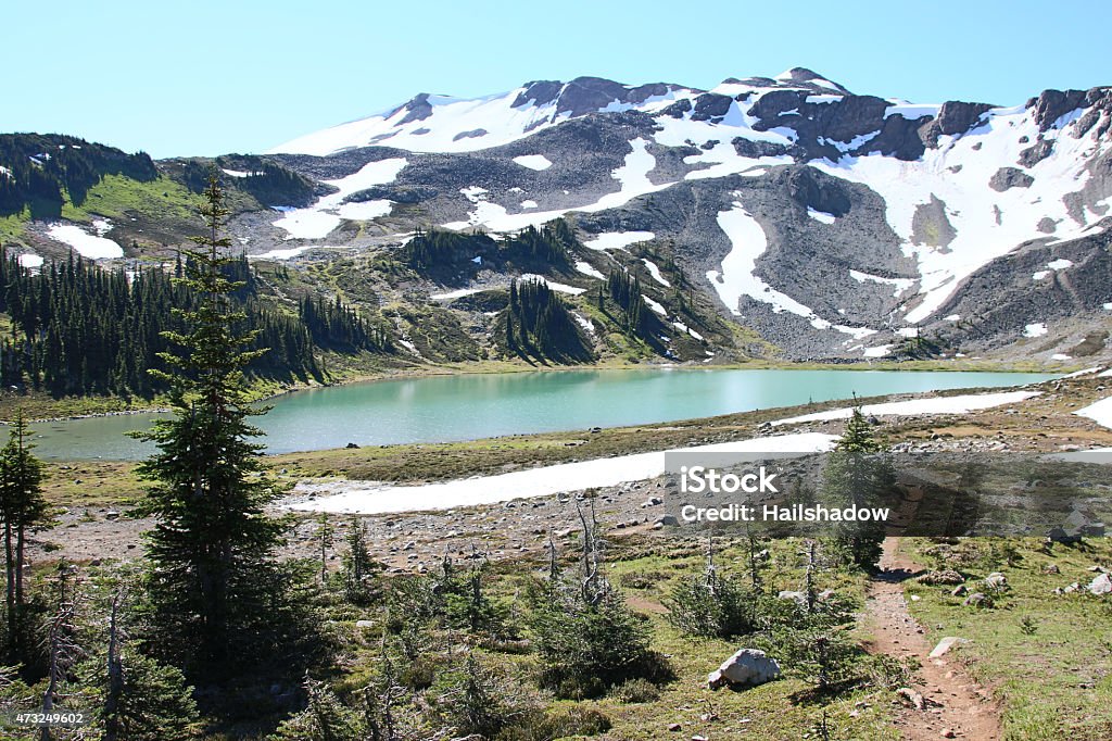 Alpine Backcountry Beautiful alpine environment with snowy mountains, lake, and forests. 2015 Stock Photo