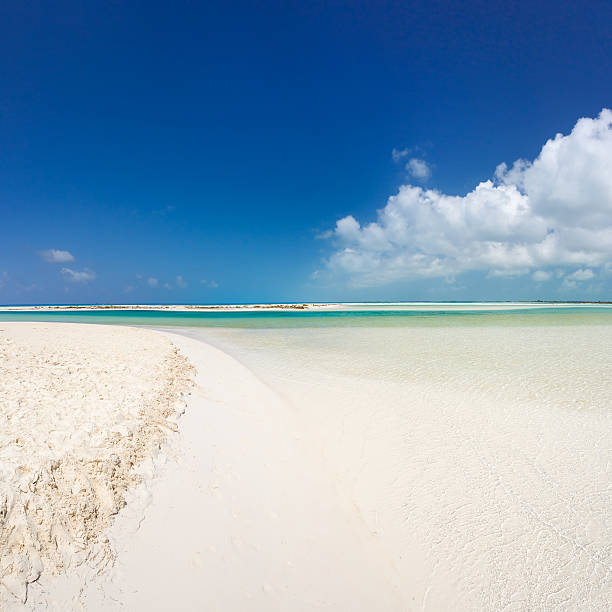 istock Tropical beach in Cayo Largo island 473255706