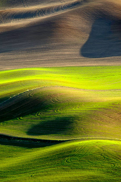istock Farmland Landscape - Spring Meadow 473256420