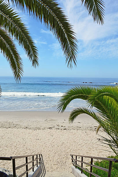 The palm covered entrance to Main Beach in Laguna Beach. Laguna is a beach community in Southern, California. 