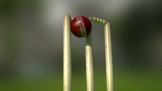 Free Cricket Stock Video Footage 480 Free Downloads