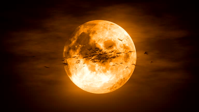 Vollmond