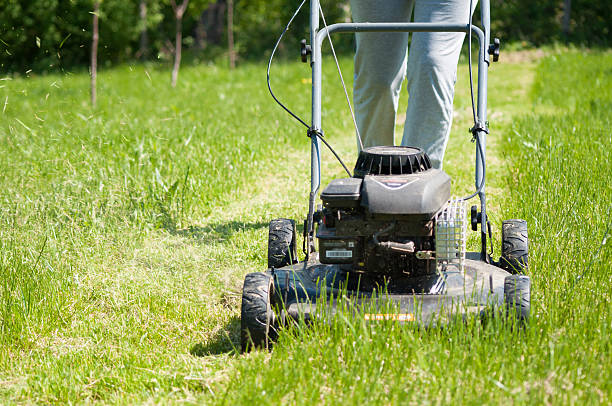 istock Young female in yard - pushing grass trimming lawnmower 473264892
