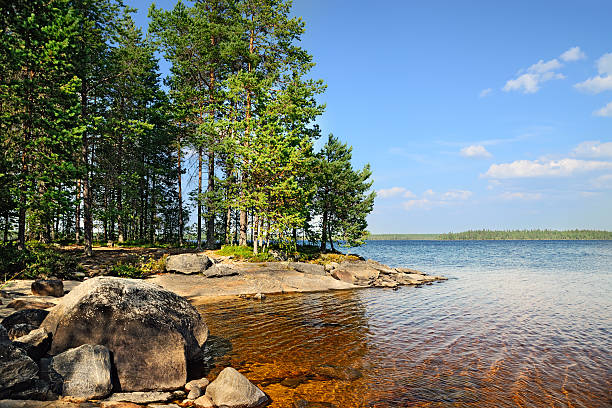 lago engozero, north bien, rusia - república de karelia rusia fotografías e imágenes de stock