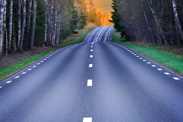 Winding rural scandinavian asphalt road with light from evening sun, lined with fresh grass and birch trees with new green leaves in spring