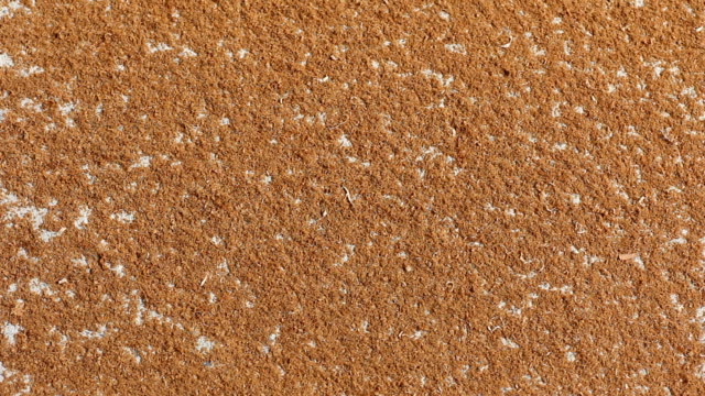 Sawdust on the floor