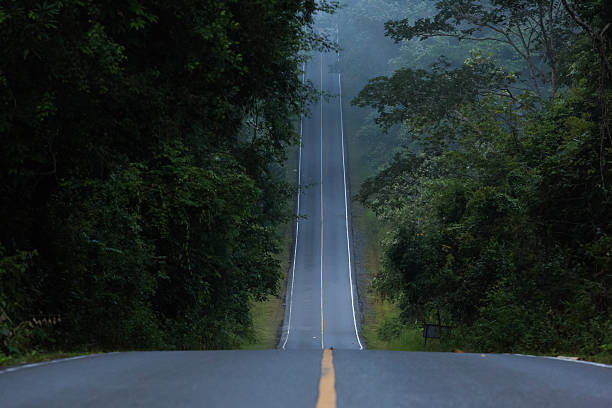 hill road a narrow hill road inside the forest steep stock pictures, royalty-free photos & images