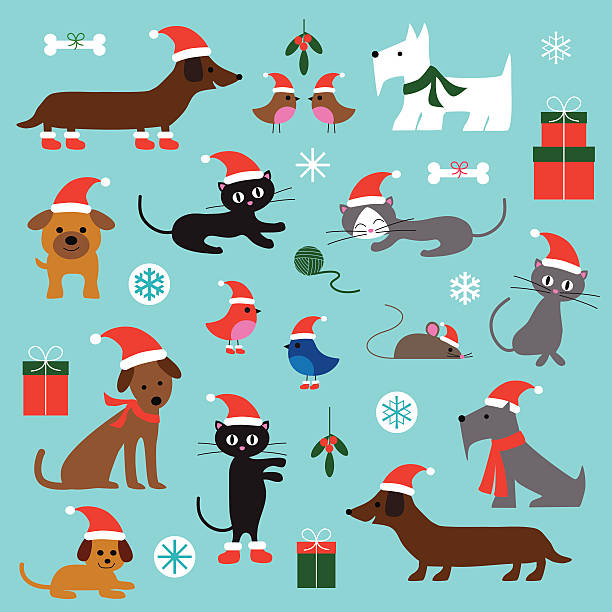 weihnachten katzen und hunde - christmas dachshund dog pets stock-grafiken, -clipart, -cartoons und -symbole