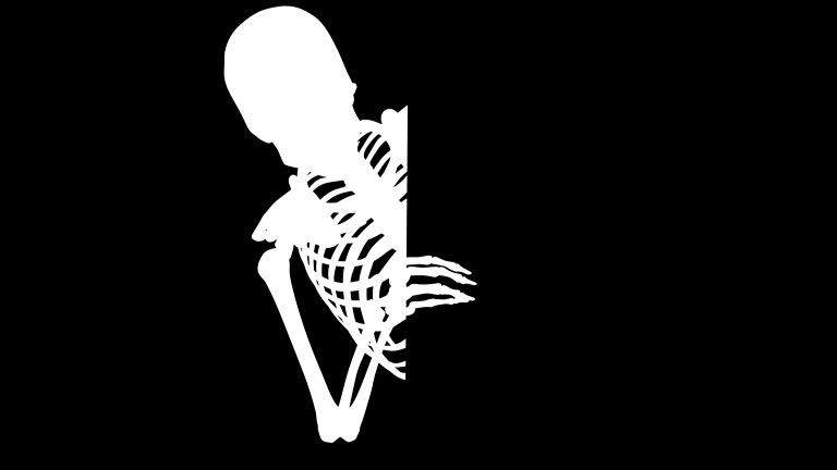 972 Cartoon Skeleton Stock Videos and Royalty-Free Footage - iStock | Cartoon skeleton hand 972 Cartoon Skeleton Stock Videos and Royalty-Free Footage - iStock | Cartoon skeleton hand