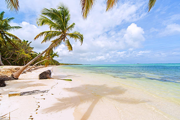 istock Perfect tropical island paradise beach 473283994