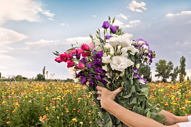 istock Bouquet of flowers 473284290