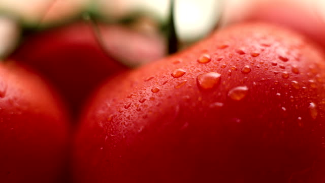 Fresh tomato close-up