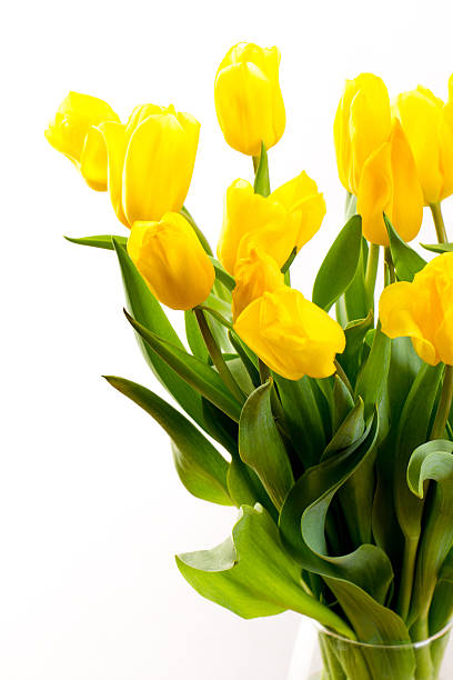 istock bouquet of tulips on a white background 473285206