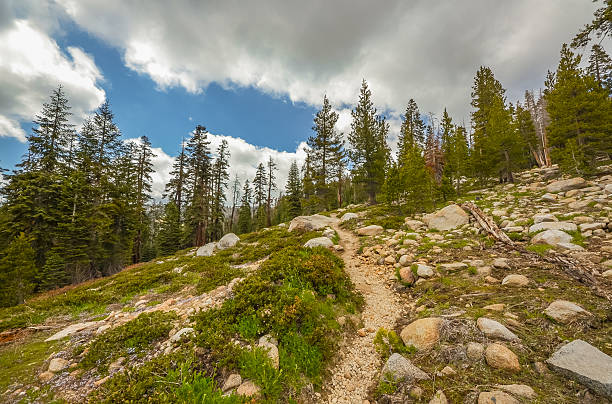 istock Hiking in Sequoia national park, California. 473285558