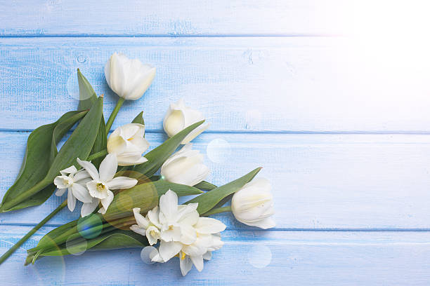 istock Postcard  with fresh narcissus and tulips 473286674