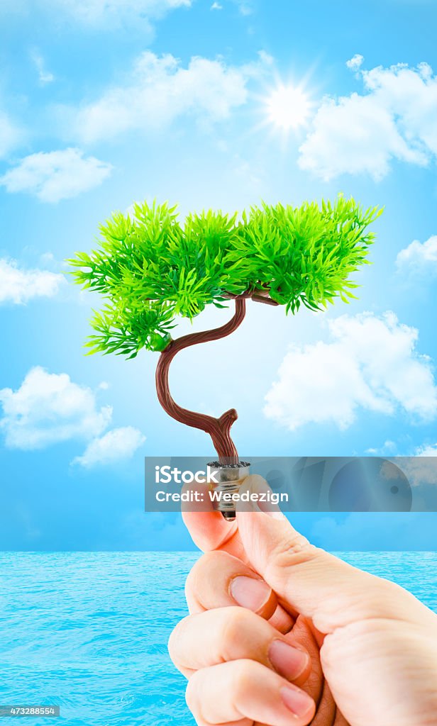 hand holding tree growing on light bulb with sun burst hand holding tree growing on light bulb with sun burst and light blue sky with cloud and water,eco concept,eco power. 2015 Stock Photo