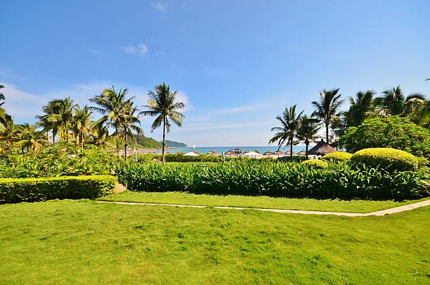 istock Manicured lawns and shrubs in the resort 473289100