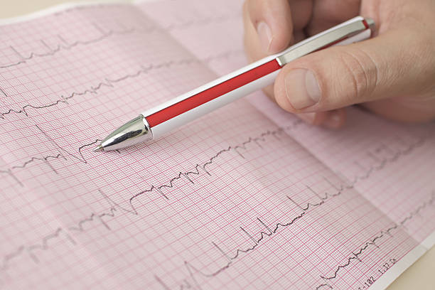 hand holding pen indicates  beats in ECG hand holding pen indicates  beats in ECG allocate stock pictures, royalty-free photos & images