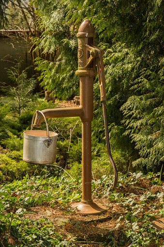 Rustical pump water in the forrest