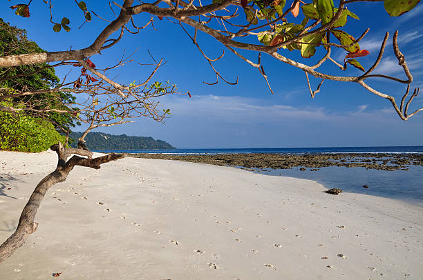 Radhanagar Beach on Havelock - Andaman & Nicobar Islands, India Stunning view of Radhanagar Beach on Havelock Island. Havelock Island's Elephant Beach stock pictures, royalty-free photos & images
