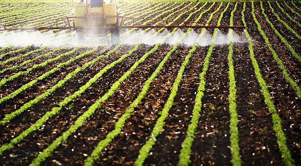 istock Pesticide treatment. 473295188