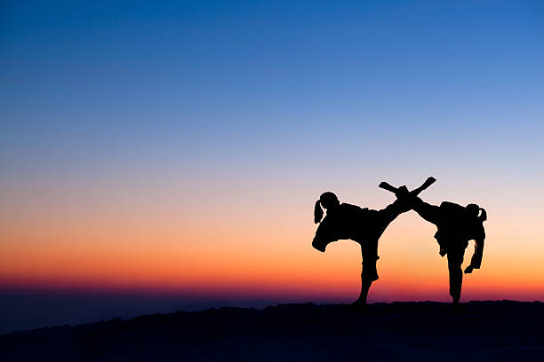 dois karate lutador silhuetas no céu noturno - martial arts women tae kwon do black belt - fotografias e filmes do acervo