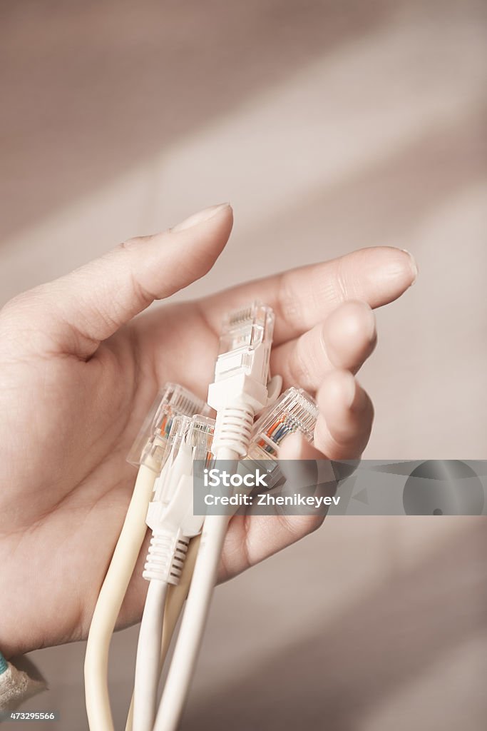 IT specialist with patchcords Hand of IT specialist holding local network cables Women Stock Photo