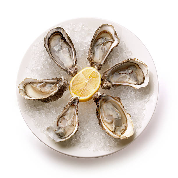 istock Oysters in ice on a white plate 473296150