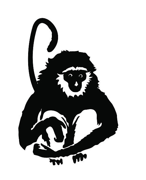 Monkey. Hand drawn silhouette of animal on white background Monkey. Hand drawn silhouette of animal on white background macaque stock illustrations