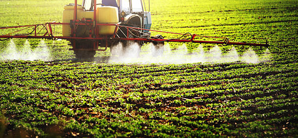 istock Pesticide treatment. 473298428